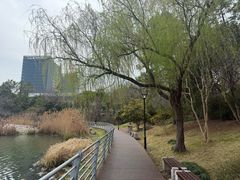 -美兰湖景区