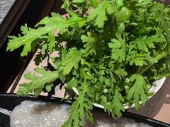 -捞王猪肚鸡火锅(金华义乌之心店)