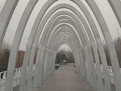 -大兴滨河森林公园