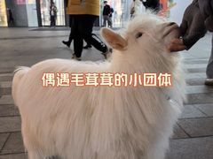 -大悦城(沈阳中街店)