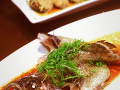 清蒸龙胆石斑鱼-达叔香味海鲜(海棠68环球美食街店)