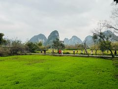 -靖西鹅泉风景区