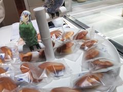 -潮一不贰·法式甜品·生日蛋糕·西式简餐(外滩店)