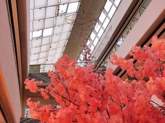 -万达广场(松江店)