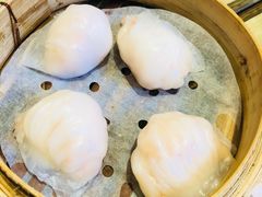水晶鲜虾仁-添好运点心专门店(北角店)