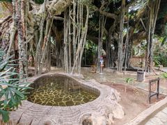 -龙达温泉生态城