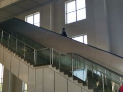 -金州站