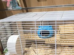 -FAELING PETS美天灵宠物(富力广场店)