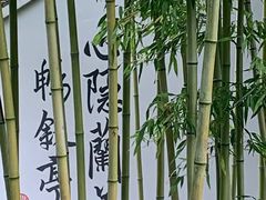 -兰亭风景区