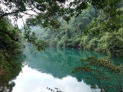 -鼎湖山风景区