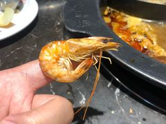 -火锅岛潮牌自助餐厅(天津天佑城店)