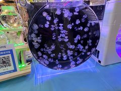 -万达广场(太原街店)