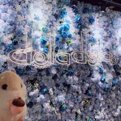 -doladola(徐家汇店)