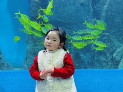 -福州罗源湾海洋世界旅游区