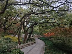 -普陀山风景名胜区-法雨禅寺