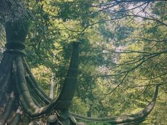 -藏龙百瀑风景区