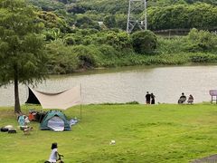 -风云岭森林公园