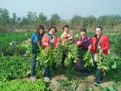 -大自然农场蔬菜草莓采摘园