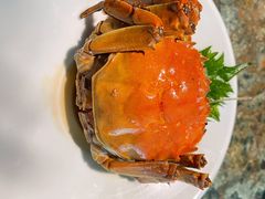 苏帮醉蟹-苏帮袁Sue Cuisine(南开大悦城店)