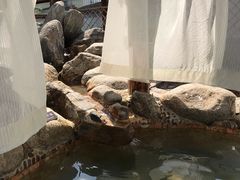 -华山御温泉度假村