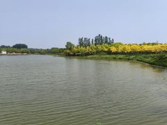 -东郊湿地公园