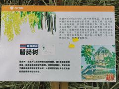 -中国科学院西双版纳热带植物园