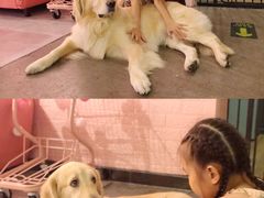 -百好乐宠物友好餐厅(朝外大街店)