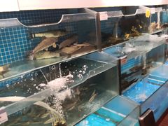 -胖姐渔村(中源大道店)