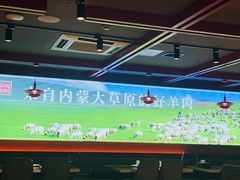 -京悦南门涮羊肉·羊蝎子火锅(田林路店)