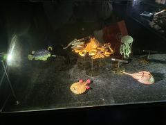 -同济大学四平路校区深海探索馆