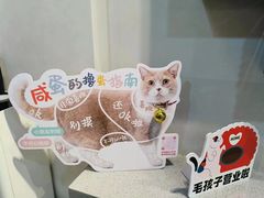 -伟伟宠物医院·CT影像中心·瑞派犬猫综合性门诊(汉口总院)