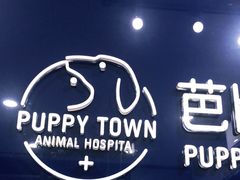 -芭比堂动物医院(广州爱宠下渡路分院)
