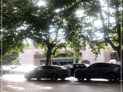 -上海博物馆(人民广场馆)