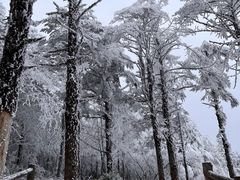 -峨眉山风景名胜区