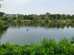 -南通濠河风景名胜区