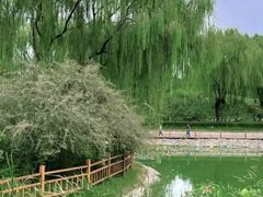 -燕郊植物园
