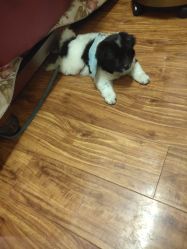 -斐尔国际皮肤管理中心