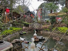 -青城甲(青城山店)