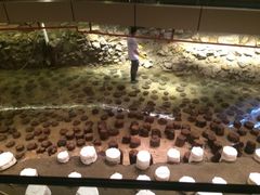 iphone_upload_pic-元代水闸遗址博物馆