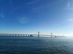 -星海湾跨海大桥