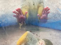 -秦皇岛野生动物园