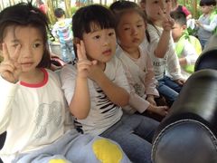 -岔道口幼儿园