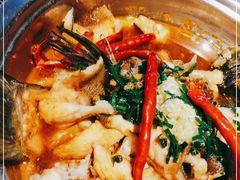 -隔壁老王·家常云南菜(花巷店)