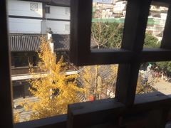 -南京夫子庙国际青年旅舍(平江府路店)