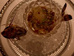 捞汁活大虾-怡情荟•海鲜青岛菜(五四广场旗舰店)