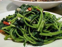 -西木兔(大圆祥店)