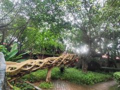 -瑞丽独树成林风景区