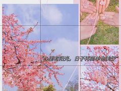 -上海辰山植物园