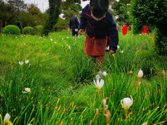 景点-武汉紫薇都市田园