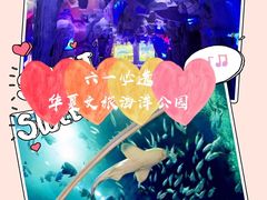 -华夏文旅海洋公园